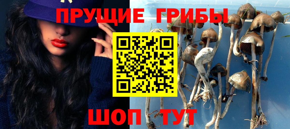 Жигулёвск  Псилоцибиновые грибы мухоморы  Вход с VPN  Галлюциногенные грибы мухоморы 